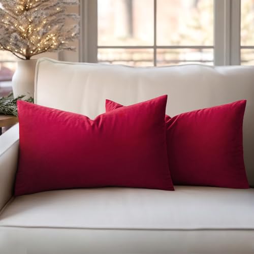 Slozzi 2er Set Samt Kissenbezüge Haushalt Dekokissen Dekorative Kissenhülle Weich Sofakissen für Sofa Schlafzimmer Wohnzimmer 30x50 cm Weinrot von Slozzi
