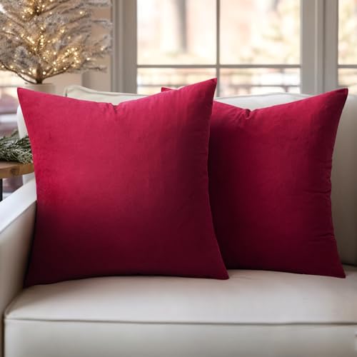 Slozzi 2er Set Samt Kissenbezüge Haushalt Dekokissen Dekorative Kissenhülle Weich Sofakissen für Sofa Schlafzimmer Wohnzimmer 45x45 cm Weinrot von Slozzi