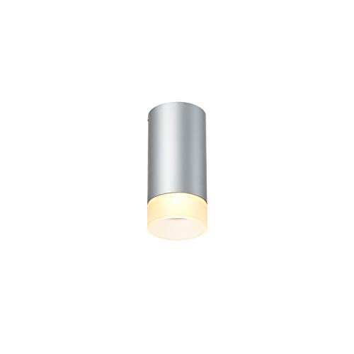 SLV Deckenleuchte ASTINA, dimmbar, effektvolle Innen-Beleuchtung | GU10 Deckenlampe, Decken-Strahler, LED Wand-Leuchte, Wohnzimmer-Lampe, Schlafzimmer-Leuchte | GU10 QPAR51, Grau von SLV