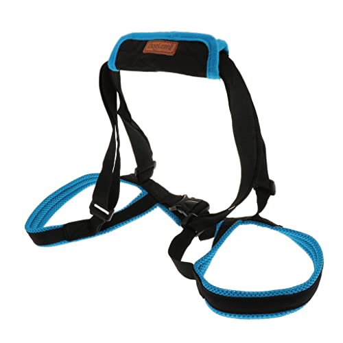 SM SunniMix Hunde Tragehilfe Gehhilfe Hebehilfe Hilfsgeschirr Stützgeschirr für behinderte Hunde, S SM SunniMix Hunde Tragehilfe Gehhilfe Hebehilfe Hilfsgeschirr Stützgeschirr für behinderte Hunde, S von SM SunniMix