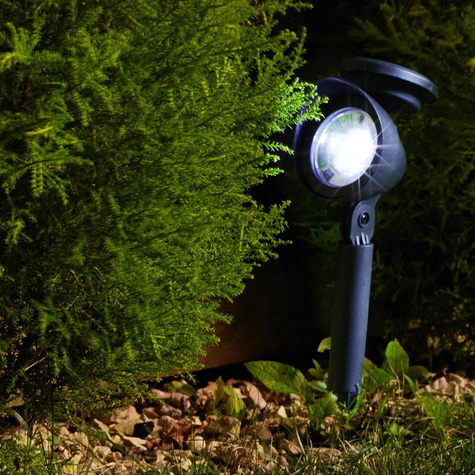 LED-Solar-Erdspießstrahler Prima, 4er Set, IP44 LED-Solar-Erdspießstrahler Prima, 4er Set, IP44 von SMART GARDEN