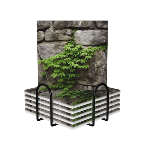 6-teilige Getränkeuntersetzer mit Halter, lustige Tassenmatte, Pflanze auf Steinmauer, Keramikuntersetzer für Getränke, saugfähig, Bar, Bier, Getränkeuntersetzer-Set zum Schutz der Tischplatte von SMAZDFXX