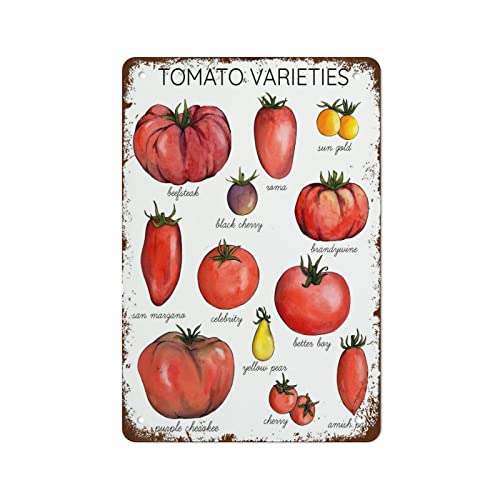 Lustiges Retro-Blechschild mit Tomatensorten, Poster, Kunstdruck, 30,5 x 20,3 cm, geeignet für Zuhause und Küche, Bar, Café, Garage, Wanddekoration für Zuhause, Cafés, Büro, Geschäft, Kneipe, Clubschi Lustiges Retro-Blechschild mit Tomatensorten, Poster, Kunstdruck, 30,5 x 20,3 cm, geeignet für Zuhause und Küche, Bar, Café, Garage, Wanddekoration für Zuhause, Cafés, Büro, Geschäft, Kneipe, Clubschi von SMAZDFXX