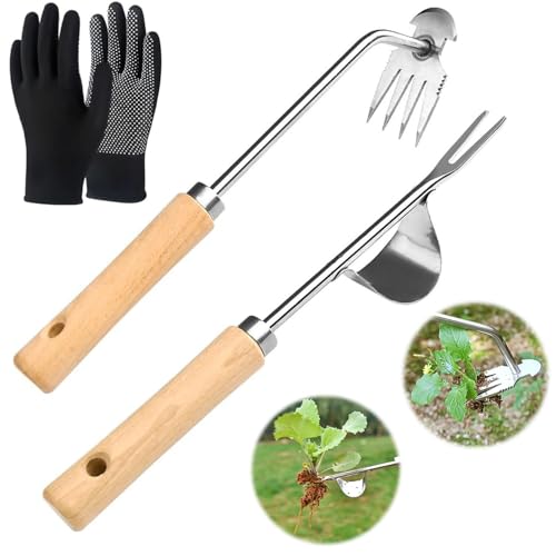 SMEILEE Unkrautstecher Edelstahl, Wurzeljäter mit Holzgriff, Gartenarbeit Hand Unkrautstecher, Unkrautjäter zum Entfernen von Moos & Unkraut, Unkraut Entferner Gerät für Gartenarbeit SMEILEE Unkrautstecher Edelstahl, Wurzeljäter mit Holzgriff, Gartenarbeit Hand Unkrautstecher, Unkrautjäter zum Entfernen von Moos & Unkraut, Unkraut Entferner Gerät für Gartenarbeit von SMEILEE