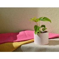 Betonpflanzer Mit Drainageloch, Blumentopf Untersetzer, Runder Zementblumentopf Abfluss, Indoor-Plane in Vielen Farben Erhältlich von SMELLABstore