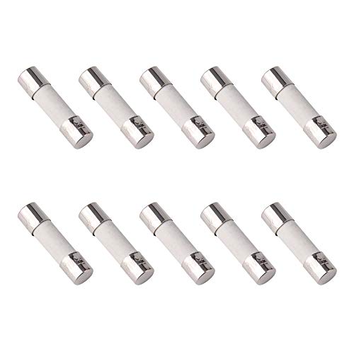 SMIN 10 Stück F2AL 250 V Keramik Schnell-Blow Sicherung 5x20 mm (2 A) von SMIN