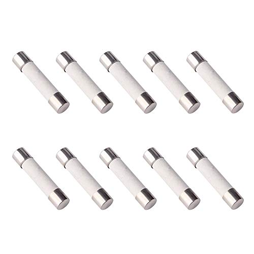 SMIN 10 Stück F3AL 250 V Keramik Schnell-Sicherung 6 x 30 mm (3 A) von SMIN