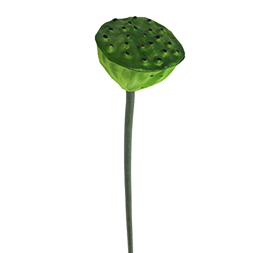 SMLJFO Künstliche Lotus-Samenschale, 61 cm, mit Stab für Tisch, Garten, Hochzeit, Party, Büro, Heimdekoration von SMLJFO
