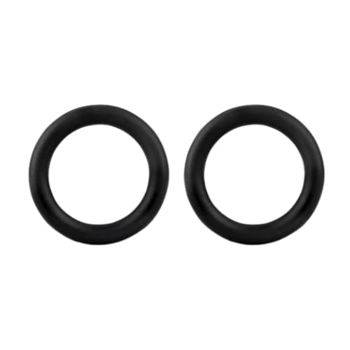 SMMXDWBA 2 Stück Dampfmaschinen-Dichtungsring O-Ring, Kompatibel mit KARCHER SC1 SC2 SC3 SC4 SC5 SG 4/2 SG4/4 CTK10 von SMMXDWBA