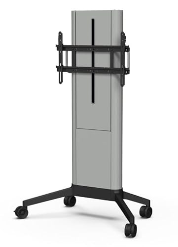 SMS EVER350 Mobile Light Clean Motor, W128821801 (Motor) von SMS