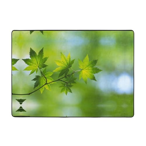 Moderner Teppich für den Innenbereich, HD-Grün, Natur-Teppiche für Schlafzimmer, Wohnzimmer, extra weich und bequem, perfekt für Hartholzböden, 203 x 147 cm von SMSJTMWHN