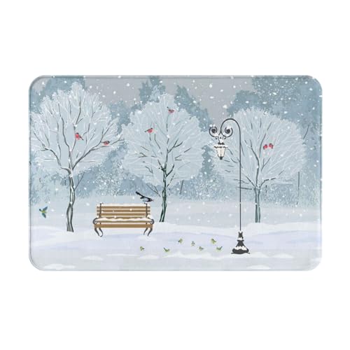 SMSJTMWHN Fußmatte mit Aufschrift "Birds in the Park On A Snowy Day", Fußmatten für den Innen- und Außenbereich, flache Bodenmatten, leicht zu reinigen, Vordereingangsteppich, Heimdekoration, 61 x von SMSJTMWHN