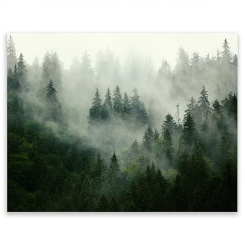 SMTDeco Herdabdeckplatte 52×40 cm – ESG gehärtetes Glas, kratzfest & rutschfest – Spritzschutz & Schneidebrett – für Induktion/Ceranfeld – 1-teilig, Motiv Nebel Wald Grün SMTDeco Herdabdeckplatte 52×40 cm – ESG gehärtetes Glas, kratzfest & rutschfest – Spritzschutz & Schneidebrett – für Induktion/Ceranfeld – 1-teilig, Motiv Nebel Wald Grün von SMTDeco