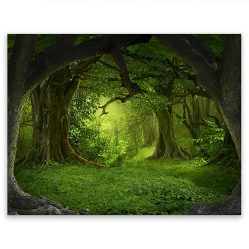 SMTDeco Herdabdeckplatte Ceranfeld Abdeckplatte Herdabdeckung Herdplatten Abdeckungen Induktionskochfeld 52x40 cm 1-tlg. Wald Magisch Grün SMTDeco Herdabdeckplatte Ceranfeld Abdeckplatte Herdabdeckung Herdplatten Abdeckungen Induktionskochfeld 52x40 cm 1-tlg. Wald Magisch Grün von SMTDeco