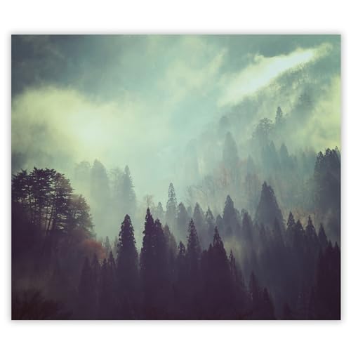 SMTDeco Herdabdeckplatte 60×52 cm – ESG gehärtetes Glas, kratzfest & rutschfest – Spritzschutz & Schneidebrett – für Induktion/Ceranfeld – 1-teilig, Motiv Gemälde Wald Schwarz SMTDeco Herdabdeckplatte 60×52 cm – ESG gehärtetes Glas, kratzfest & rutschfest – Spritzschutz & Schneidebrett – für Induktion/Ceranfeld – 1-teilig, Motiv Gemälde Wald Schwarz von SMTDeco