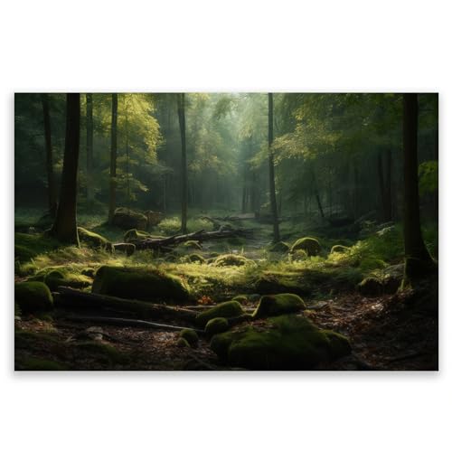 SMTDeco Herdabdeckplatte Ceranfeld Abdeckplatte Herdabdeckung Herdplatten Abdeckungen Induktionskochfeld 80x52 cm 1-tlg. Wald Sonne Grün von SMTDeco