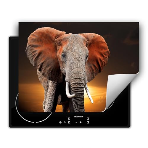 SMTDeco herdabdeckplatte Induktionsmatte herdabdeckung ceranfeld abdeckplatten für ceranfelder induktionskochfeld schutzmatte 80x52 cm Elefant Orange von SMTDeco