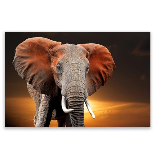 SMTDeco Herdabdeckplatte Induktion Ceranfeldabdeckung aus Glas Schneidebrett Herdschutz 80x52 cm 1-tlg. Elefant Orange (108690) von SMTDeco