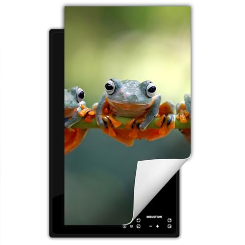SMTDeco herdabdeckplatte Induktionsmatte herdabdeckung ceranfeld abdeckplatten für ceranfelder induktionskochfeld schutzmatte 30x52 cm Frosch Foto Grün von SMTDeco