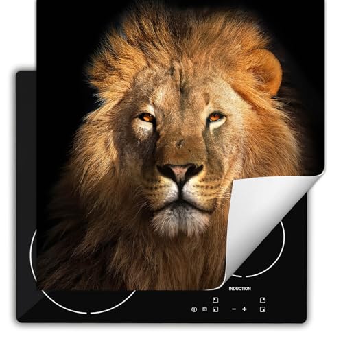 SMTDeco herdabdeckplatte Induktionsmatte herdabdeckung ceranfeld abdeckplatten für ceranfelder induktionskochfeld schutzmatte 60x52 cm Löwe Orange SMTDeco herdabdeckplatte Induktionsmatte herdabdeckung ceranfeld abdeckplatten für ceranfelder induktionskochfeld schutzmatte 60x52 cm Löwe Orange von SMTDeco