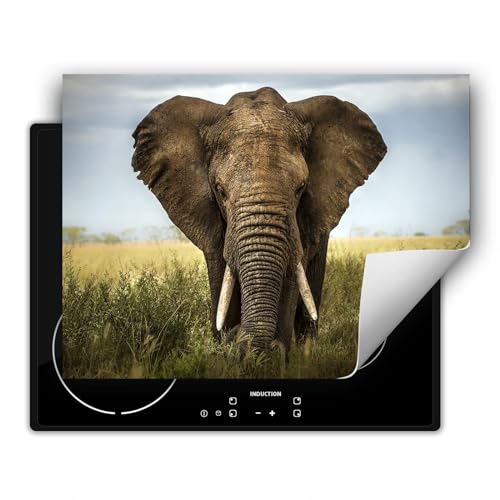 SMTDeco herdabdeckplatte Induktionsmatte herdabdeckung ceranfeld abdeckplatten für ceranfelder induktionskochfeld schutzmatte 80x52 cm Elefant Grau von SMTDeco