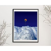 Limited Edition Blühende Höhen 2 | 8, 5 X 11 Druck Surreales Kunstwerk Wand Kunst Dekor Blumen Sonnenblumen Floraler Kunstdruck von SMWVisuals