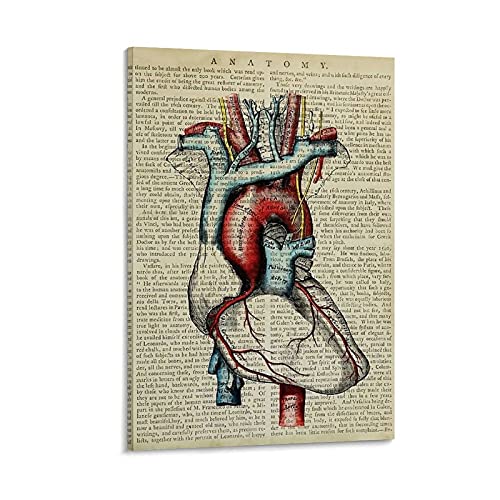 SMWY Vintage Poster Herz Anatomie Poster Dekorative Malerei Leinwand Wandkunst Wohnzimmer Poster Schlafzimmer Gemälde 30 x 45 cm von SMWY