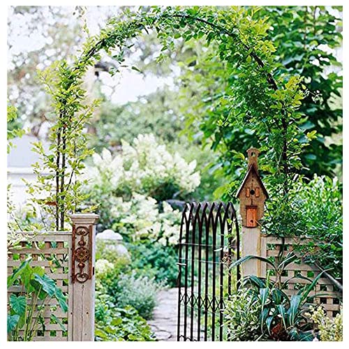 SMYORR Rose Arch Entrance Garden Arch Weatherproof Trellis Arch for Various Outdoor Garden Lawn Backyard/Black / 3x2.2m SMYORR Rose Arch Entrance Garden Arch Weatherproof Trellis Arch for Various Outdoor Garden Lawn Backyard/Black / 3x2.2m von SMYORR