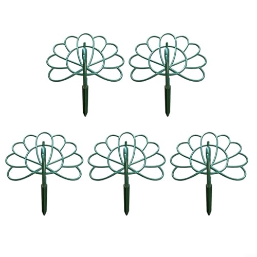 SMZhomeone 5 x Pflanzenstützpfähle, Garten-Rankgitter, Vogel-Design, Klettergerüst, Blumenständer, für drinnen und draußen, dekorative Pflanzenwachstumsunterstützung SMZhomeone 5 x Pflanzenstützpfähle, Garten-Rankgitter, Vogel-Design, Klettergerüst, Blumenständer, für drinnen und draußen, dekorative Pflanzenwachstumsunterstützung von SMZhomeone