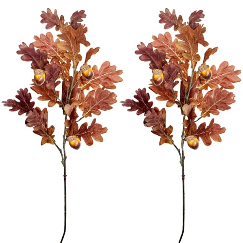 SNAIL GARDEN 2 Stück 100cm Künstliche Eichen-Herbstzweige mit Eicheln, Große Künstliche Herbststiele für Vasen, Herbstdeko Eichenblätter Künstliche Herbstblumen für Hochzeit Veranden Innenhof SNAIL GARDEN 2 Stück 100cm Künstliche Eichen-Herbstzweige mit Eicheln, Große Künstliche Herbststiele für Vasen, Herbstdeko Eichenblätter Künstliche Herbstblumen für Hochzeit Veranden Innenhof von SNAIL GARDEN
