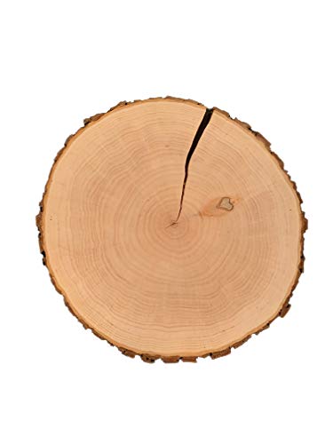 SNEG Baumscheibe aus Erlenholz mit Rinde (mit Riss) | Dekoartikel zum Basteln, für Hochzeiten & Co | Massivholz (ø 32-35 cm) von SNEG