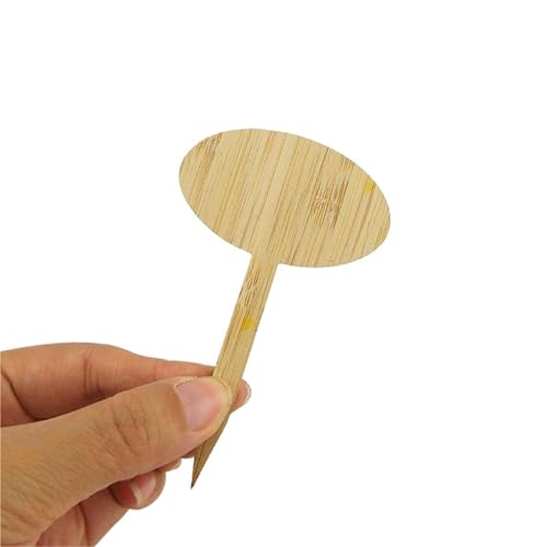 20/40PcsT-Type Anlage Etiketten Holz Blume Veg Zeichen Tags Garten Marker Werkzeuge for Töpfe Topf Kraut Für Topfpflanzen,Kräuter(Type round,40pcs) von SNGUOQ