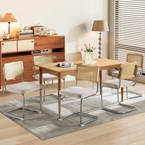 SOARMOTE Rattan-Esszimmerstühle, gepolstert, Mitte des Jahrhunderts, moderne Esszimmerstühle mit Rückenlehne, Retro-Samt-Küchenstühle mit Edelstahl-Chrom-Basis, Beige, 6 Stück von SOARMOTE