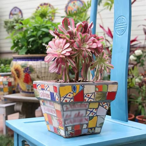 Blumentopf Retro Country Sukkulenten Keramik Kleiner Blumentopf Home Desktop Balkon Dekoration Modern Einfacher Blumentopf (B) von SOBOLON
