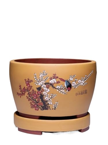 Blumentopf für Sukkulenten, Keramik, für den Schreibtisch, Wohnzimmer, Alabaster, Bonsai, großer Behälter, moderner, einfacher Blumentopf (C) von SOBOLON