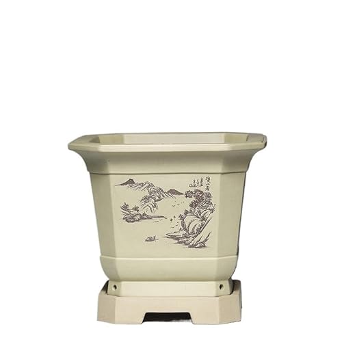 SOBOLON Blumentopf Lila Ton Blumentopf Quadrat Groß mit Tablett Bonsai Indoor Modern Simple Flowerpot (A) von SOBOLON