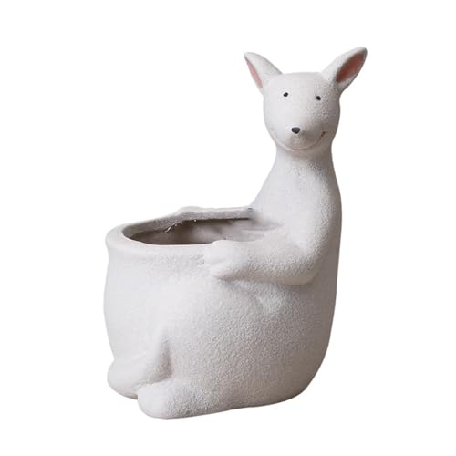 SOBOLON Blumentopf aus Keramik, Sukkulenten für den Garten, Blumentöpfe für kleine Tiere, niedlich, Kakteen, für den Schreibtisch, einfach, modern (Farbe: B) von SOBOLON