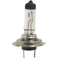 Glühbirne h7 24v 70w Sodelec 16864 von SODELEC