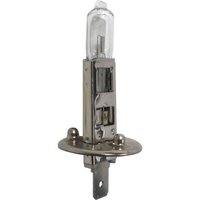 Jodlampe h1 12v 55w in Box SODELEC - 16220 von SODISE