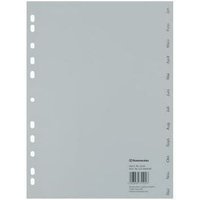 Monatsregister 22,5 x 29,7 cm (b x h) din A4 Jan.-Dez. Polypropylen grau 12 Registerblätter von SOENNECKEN