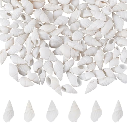 SOFPLATE 1 Box 350 Stück Kleine Weiße Muscheln Mini Spiralmuscheln Winzige Miniatur Muscheln Ohne Loch Strand Ozeantrompete Natürliche Meeresschnecke Zum Basteln Für Hochzeiten Partys Aquarien Kerzen von SOFPLATE