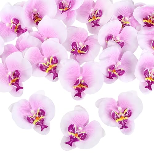 SOFPLATE 20 Stück Orchideenblätter Künstliche Orchideenblütenköpfe Kunstseidenstoff Phalaenopsis SchmetterlingsBlumenn Für Hochzeitstischdekoration Kuchendekoration Blumennstrauß Basteln Brautparty Fo SOFPLATE 20 Stück Orchideenblätter Künstliche Orchideenblütenköpfe Kunstseidenstoff Phalaenopsis SchmetterlingsBlumenn Für Hochzeitstischdekoration Kuchendekoration Blumennstrauß Basteln Brautparty Fo von SOFPLATE