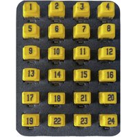 Remote Identifier 226581 Softing PDRK224 Netzwerk von SOFTING