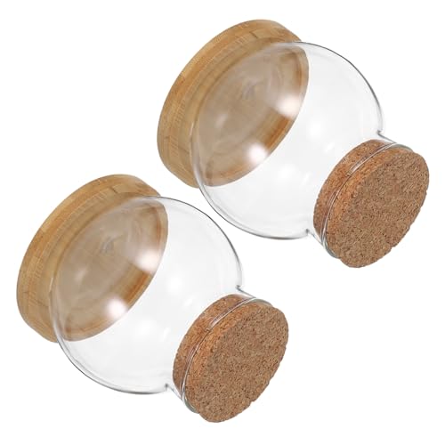 SOIMISS 2Er Set Hydrokulturvase Bürodekoration Terrarium Hydrokulturpflanzen Terrarium Heimdekoration Fischtank Heimdeko Fischglas Hydrokulturpflanzen Aquariumdeckel Ständer von SOIMISS