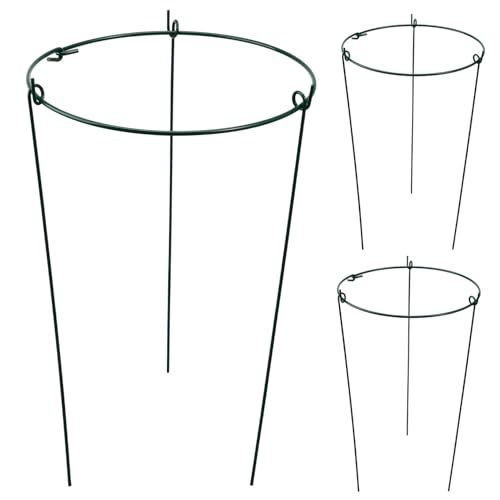 SOIMISS 3 Stück Pflanzenstützen Hochwertige Gartenstützen für Kletterpflanzen und Blumen Grün Einfache Installation Ästhetische Beschichtung für Pfingstrosen und Gemüse SOIMISS 3 Stück Pflanzenstützen Hochwertige Gartenstützen für Kletterpflanzen und Blumen Grün Einfache Installation Ästhetische Beschichtung für Pfingstrosen und Gemüse von SOIMISS