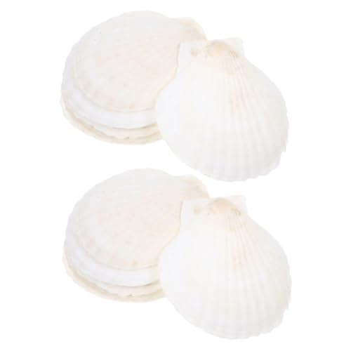 SOIMISS 35 Stück Shell Decoration Set Wohnkultur Muscheln Kleine Muscheln Desktop-Shells Natürliche Muscheldekore Zum Handwerk Strandschalen Zum Kochen Weiß Hülse SOIMISS 35 Stück Shell Decoration Set Wohnkultur Muscheln Kleine Muscheln Desktop-Shells Natürliche Muscheldekore Zum Handwerk Strandschalen Zum Kochen Weiß Hülse von SOIMISS