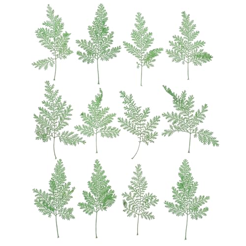 SOIMISS 48 Stück Teiliges Getrocknete Gepresste für DIY Bastelbuch Natürliche Deko Herbstblätter Vielseitige DIY Accessoires für Schmuck Nagelkunst Scrapbooking und Fotorequisiten SOIMISS 48 Stück Teiliges Getrocknete Gepresste für DIY Bastelbuch Natürliche Deko Herbstblätter Vielseitige DIY Accessoires für Schmuck Nagelkunst Scrapbooking und Fotorequisiten von SOIMISS