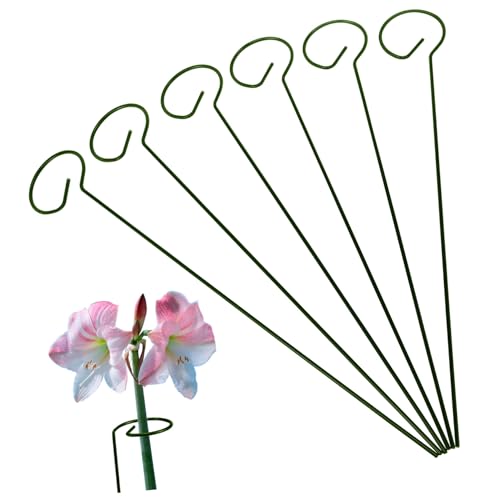 SOIMISS 6 Stück Metall Pflanzenstützen Stabiles Rankgerüst für Orchideen und Kletterpflanzen Wetterfestes Stützsystem für Topfpflanzen Installieren und Langlebig von SOIMISS