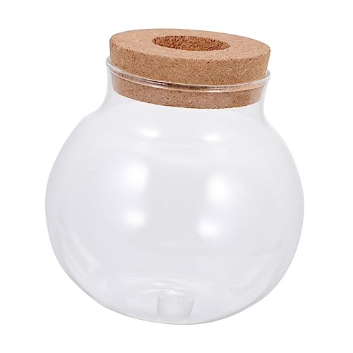 SOIMISS Kleine Glasflasche für DIY Micro Landschaft mit Frischem Moos Langlebig Bruchsicher Glatter Oberfläche als Dekoratives Terrarium für Wohnzimmer Schlafzimmer Badezimmer SOIMISS Kleine Glasflasche für DIY Micro Landschaft mit Frischem Moos Langlebig Bruchsicher Glatter Oberfläche als Dekoratives Terrarium für Wohnzimmer Schlafzimmer Badezimmer von SOIMISS