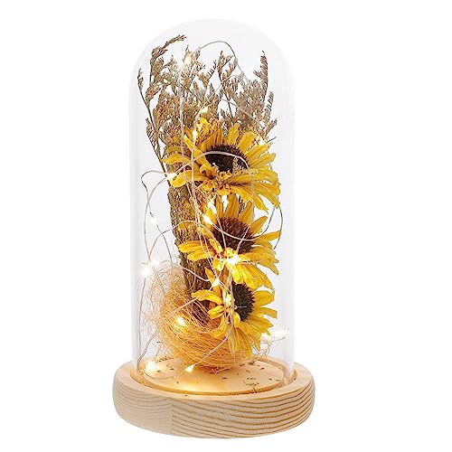 SOIMISS Kuppellampe Blumenkuppellampe Dekor Sonnenblume Nachtlicht Mit Glas Abdeckung Desktop Ornament Sonnenblumen Lichter Blumen-nachtlicht SOIMISS Kuppellampe Blumenkuppellampe Dekor Sonnenblume Nachtlicht Mit Glas Abdeckung Desktop Ornament Sonnenblumen Lichter Blumen-nachtlicht von SOIMISS